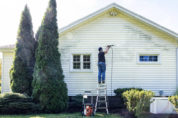 Best Patio and Deck Pressure Washing  in Frankford, DE
